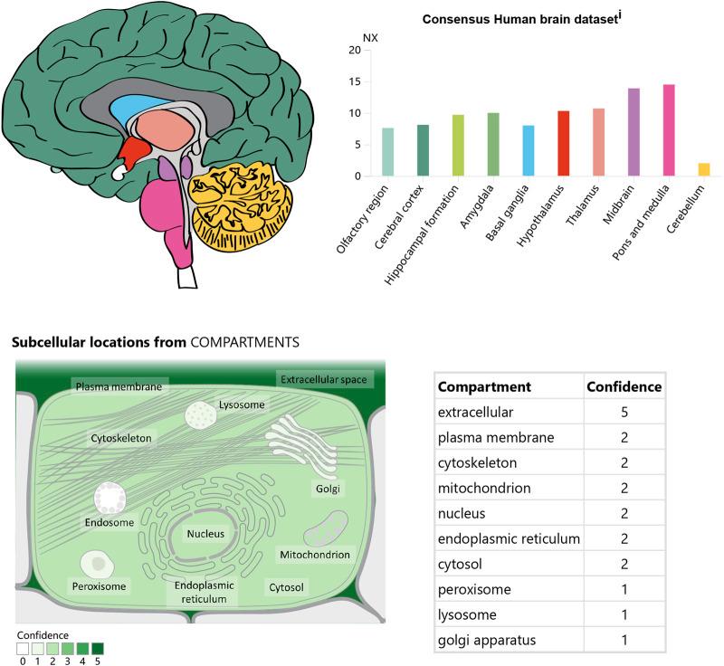 https://cdn.ncbi.nlm.nih.gov/pmc/blobs/fd49/11775478/f16fdd49397a/fphar-15-1352927-g002.jpg