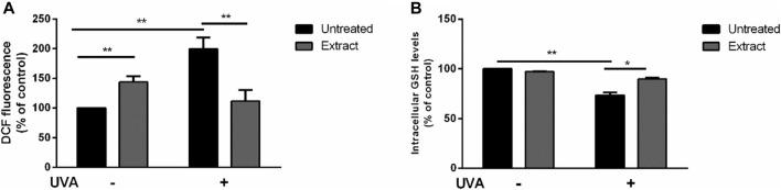 https://cdn.ncbi.nlm.nih.gov/pmc/blobs/fd4a/10797028/a70c4623892b/fmolb-10-1331059-g009.jpg