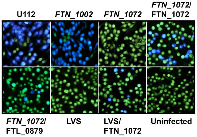 https://cdn.ncbi.nlm.nih.gov/pmc/blobs/fd4a/3502320/85e2dfd7f0ad/pone.0050473.g003.jpg
