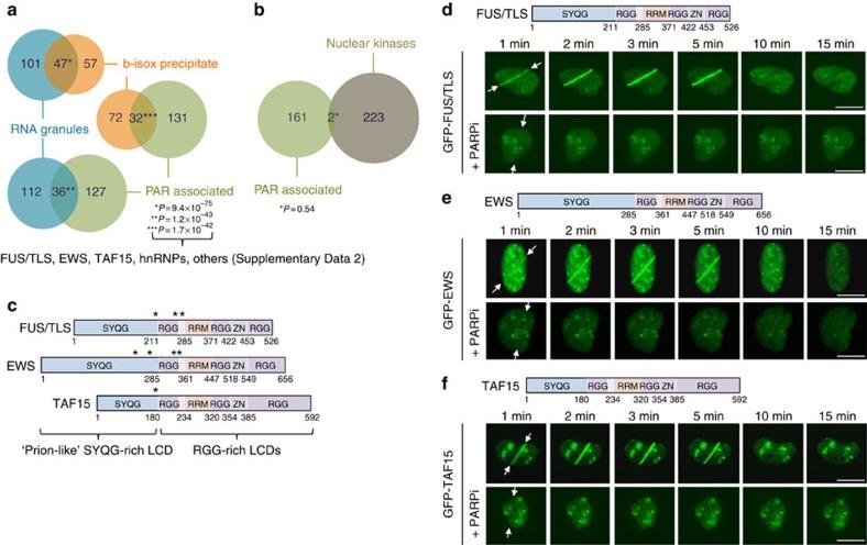 https://cdn.ncbi.nlm.nih.gov/pmc/blobs/fd4a/4560800/06d591aa3add/ncomms9088-f1.jpg