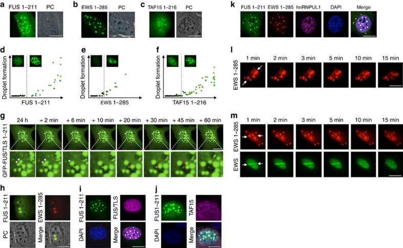 https://cdn.ncbi.nlm.nih.gov/pmc/blobs/fd4a/4560800/0d35b1fc1ba0/ncomms9088-f3.jpg