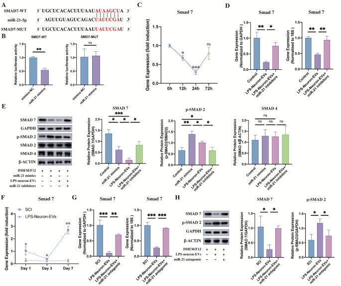 https://cdn.ncbi.nlm.nih.gov/pmc/blobs/fd4b/10390616/72110ffa094d/12015_2023_10560_Fig5_HTML.jpg
