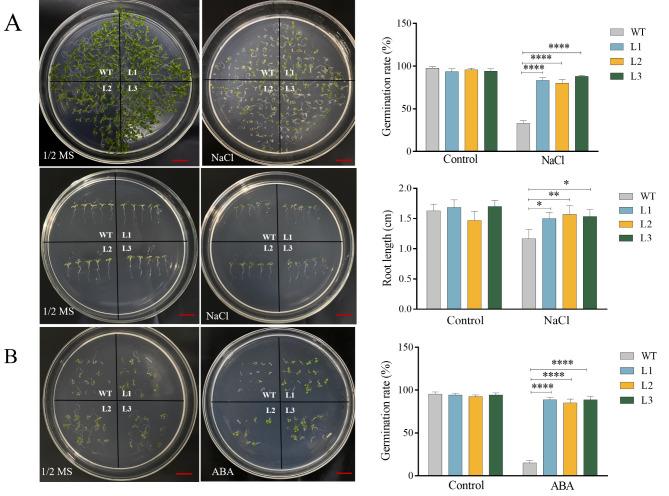 https://cdn.ncbi.nlm.nih.gov/pmc/blobs/fd4b/11603886/b6ff81a07c41/12870_2024_5738_Fig6_HTML.jpg