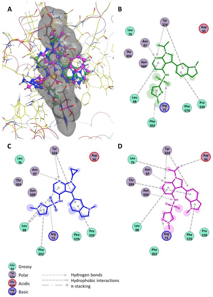 https://cdn.ncbi.nlm.nih.gov/pmc/blobs/fd4b/12026636/b9802b81df2d/ijms-26-03647-g003.jpg