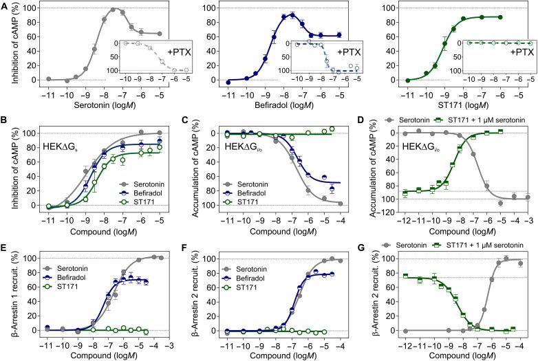 https://cdn.ncbi.nlm.nih.gov/pmc/blobs/fd4b/12175894/e8fe4c00e261/sciadv.adv9267-f2.jpg
