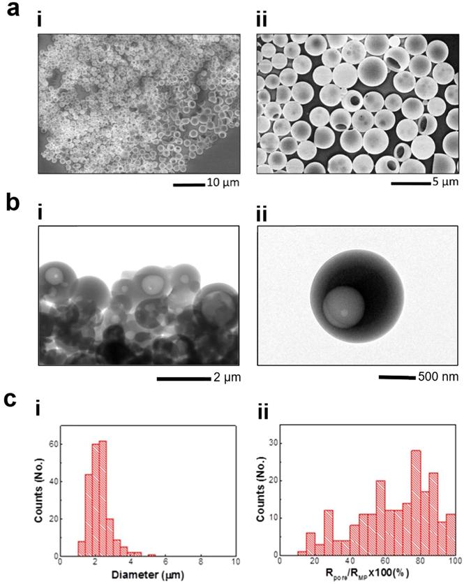 https://cdn.ncbi.nlm.nih.gov/pmc/blobs/fd4b/5465058/1924b42e7bfd/41598_2017_3259_Fig1_HTML.jpg