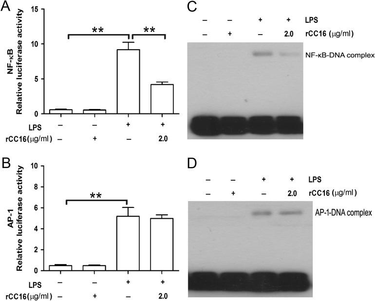 https://cdn.ncbi.nlm.nih.gov/pmc/blobs/fd4c/5412021/135c0fa1a82e/gmx020f03.jpg