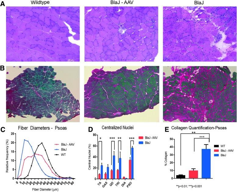 https://cdn.ncbi.nlm.nih.gov/pmc/blobs/fd4c/6066196/f615e9368fab/fig-2.jpg
