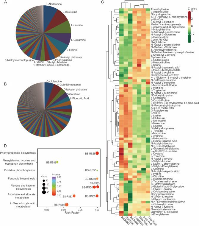 https://cdn.ncbi.nlm.nih.gov/pmc/blobs/fd4e/12406400/8032bb43e62f/12870_2025_7208_Fig2_HTML.jpg