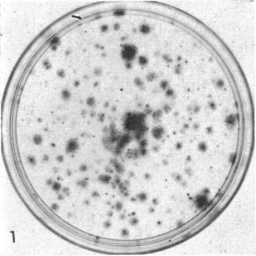 https://cdn.ncbi.nlm.nih.gov/pmc/blobs/fd4f/224844/e6424eb2430a/pnas00118-0122-a.jpg