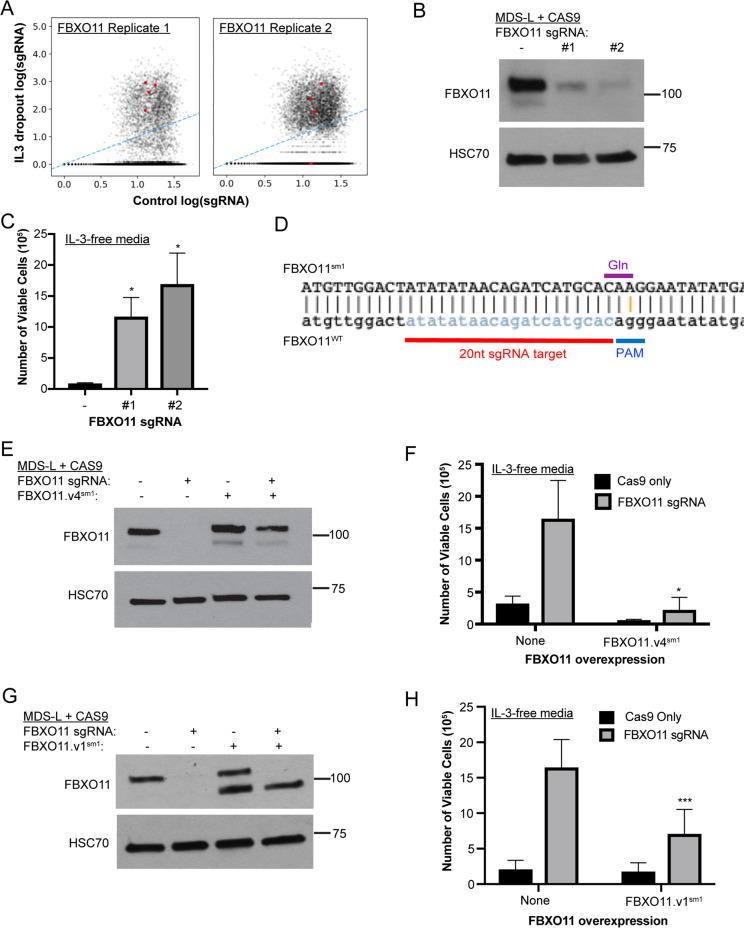 https://cdn.ncbi.nlm.nih.gov/pmc/blobs/fd4f/7538974/6b221cd9fdd1/41408_2020_362_Fig1_HTML.jpg