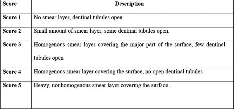 https://cdn.ncbi.nlm.nih.gov/pmc/blobs/fd4f/9089777/1d9707036d5a/JCD-24-568-g002.jpg