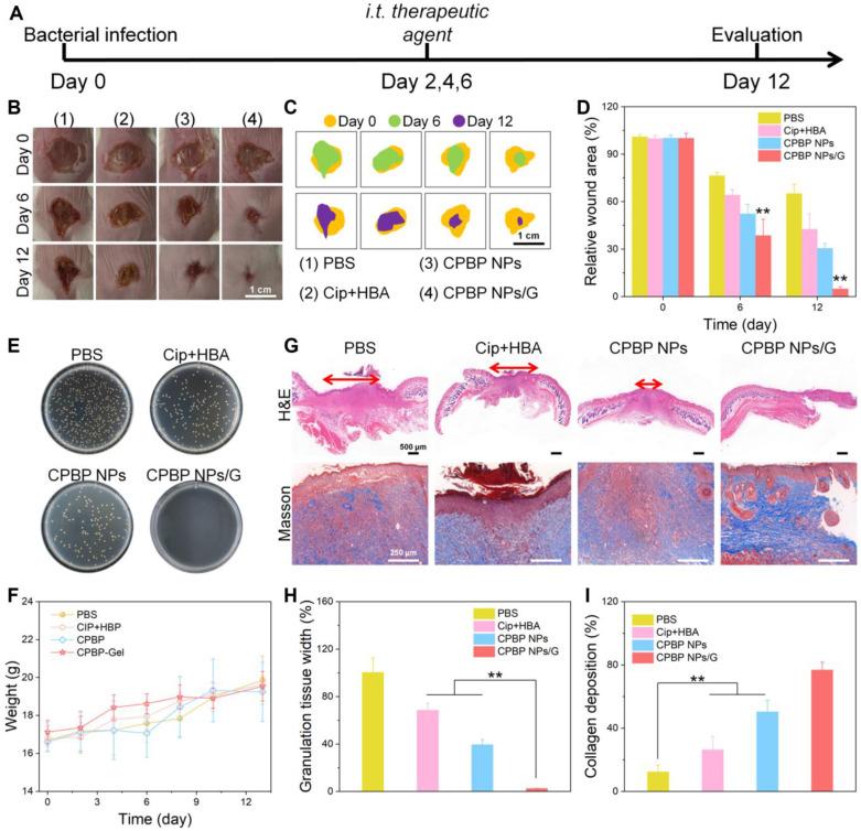 https://cdn.ncbi.nlm.nih.gov/pmc/blobs/fd50/12068296/7d2cf8cf06df/thnov15p5953g007.jpg
