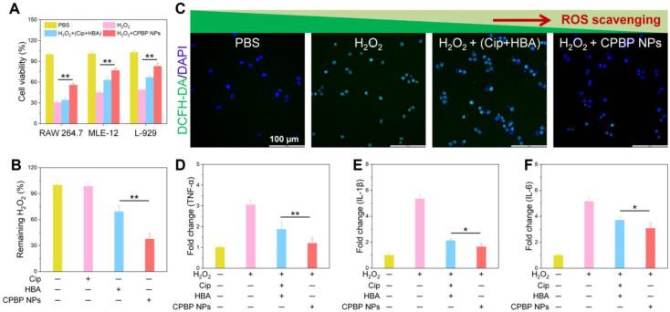 https://cdn.ncbi.nlm.nih.gov/pmc/blobs/fd50/12068296/89746246f54e/thnov15p5953g003.jpg