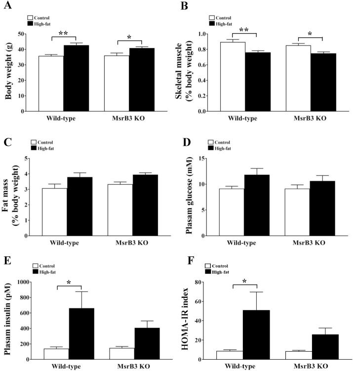 https://cdn.ncbi.nlm.nih.gov/pmc/blobs/fd50/8187883/43d25852e6bc/gr1.jpg