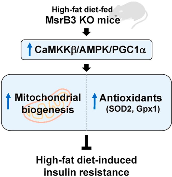 https://cdn.ncbi.nlm.nih.gov/pmc/blobs/fd50/8187883/f7303cb43526/fx1.jpg