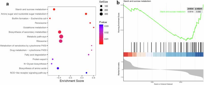 https://cdn.ncbi.nlm.nih.gov/pmc/blobs/fd53/11294588/164ffcd2c975/42003_2024_6625_Fig3_HTML.jpg