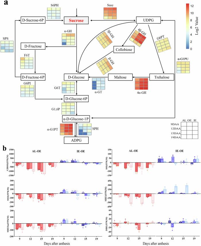https://cdn.ncbi.nlm.nih.gov/pmc/blobs/fd53/11294588/8973c42453d4/42003_2024_6625_Fig4_HTML.jpg