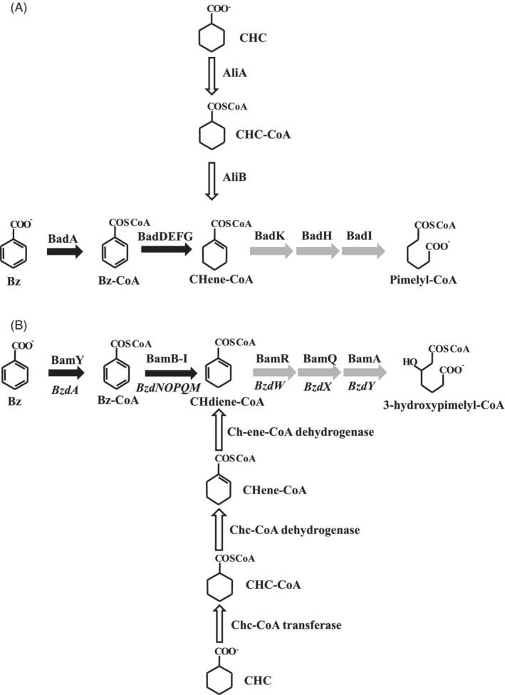 https://cdn.ncbi.nlm.nih.gov/pmc/blobs/fd55/9795900/75052d70aaca/EMI-24-4987-g009.jpg