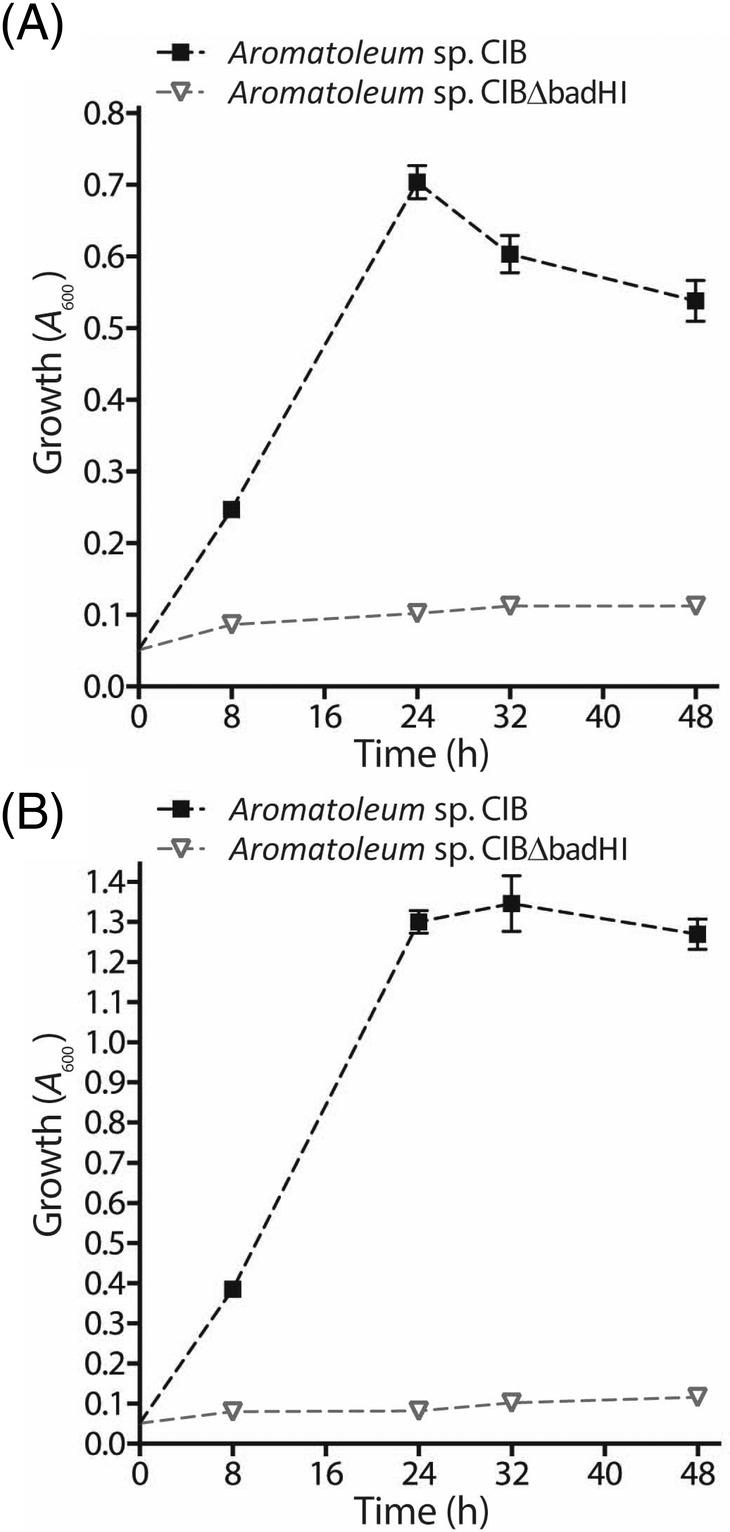 https://cdn.ncbi.nlm.nih.gov/pmc/blobs/fd55/9795900/f3382813655b/EMI-24-4987-g007.jpg