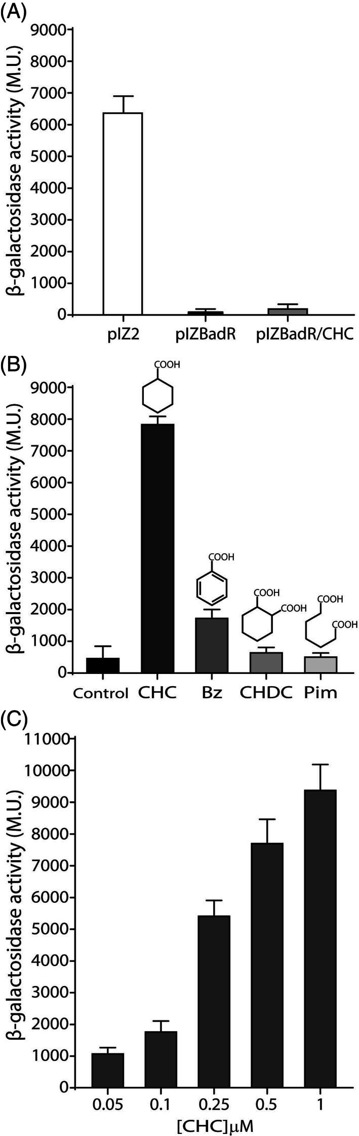 https://cdn.ncbi.nlm.nih.gov/pmc/blobs/fd55/9795900/f6dfce2be569/EMI-24-4987-g004.jpg