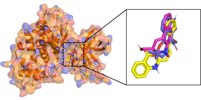 https://cdn.ncbi.nlm.nih.gov/pmc/blobs/fd56/12217229/31c6e4a4c068/41598_2025_4129_Fig5_HTML.jpg