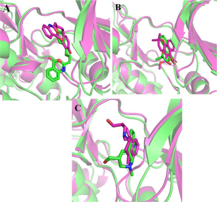 https://cdn.ncbi.nlm.nih.gov/pmc/blobs/fd56/12217229/d3f6c2d6a3f3/41598_2025_4129_Fig8_HTML.jpg