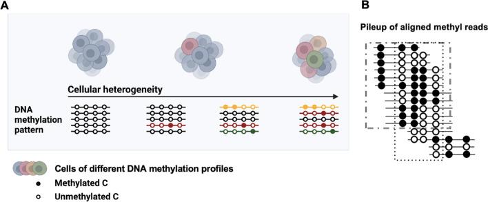 https://cdn.ncbi.nlm.nih.gov/pmc/blobs/fd58/10634068/8eb15658f530/13072_2023_521_Fig1_HTML.jpg