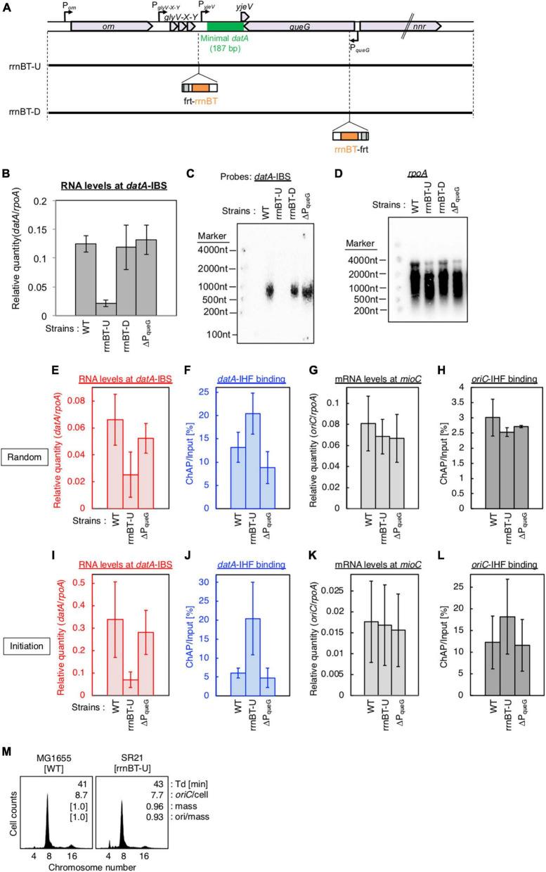 https://cdn.ncbi.nlm.nih.gov/pmc/blobs/fd58/10950094/a5eeaf51cc23/fmicb-15-1360108-g005.jpg