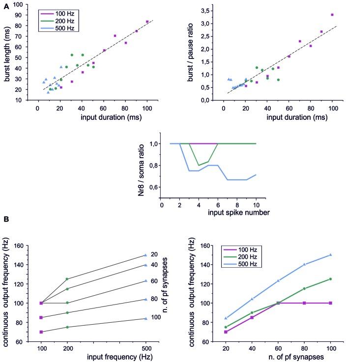 https://cdn.ncbi.nlm.nih.gov/pmc/blobs/fd58/5602117/77a18fd06cde/fncel-11-00278-g0004.jpg