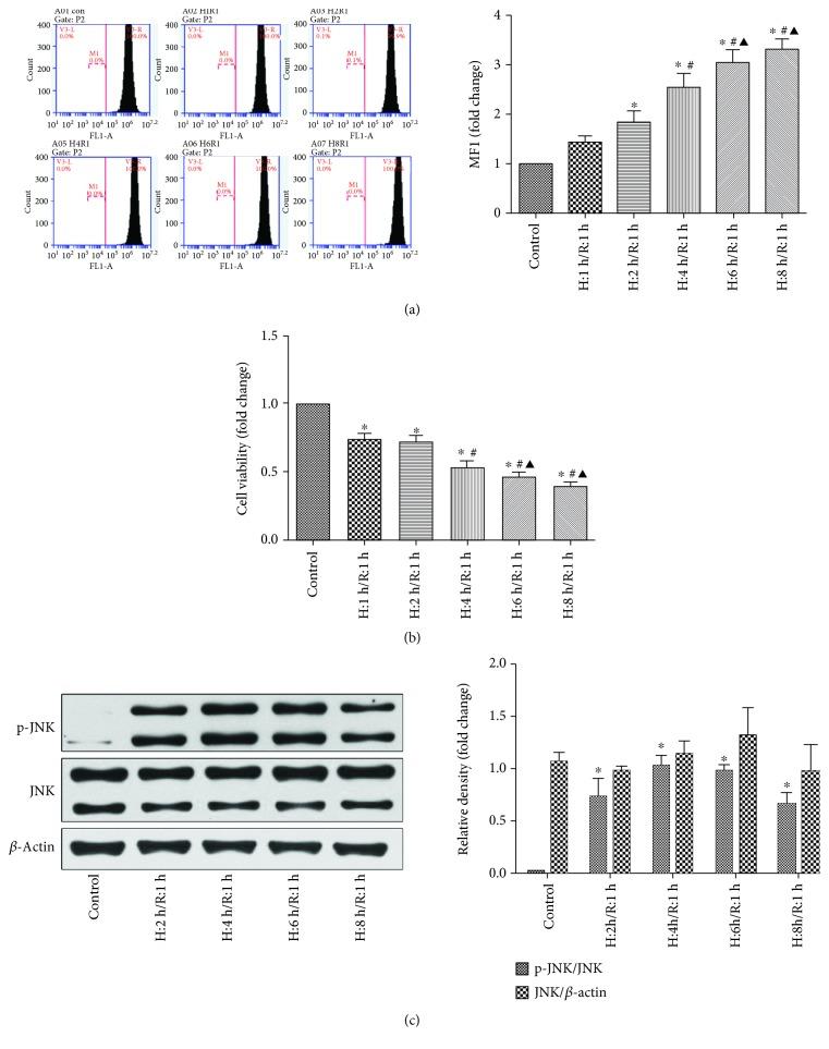 https://cdn.ncbi.nlm.nih.gov/pmc/blobs/fd58/6530120/1f02262f5d41/OMCL2019-7417561.002.jpg