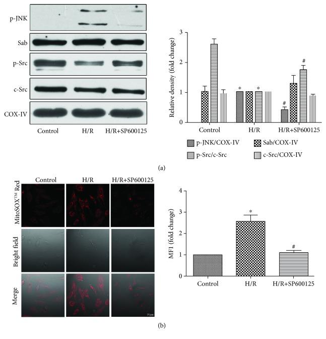 https://cdn.ncbi.nlm.nih.gov/pmc/blobs/fd58/6530120/4d3f6cd95590/OMCL2019-7417561.003.jpg