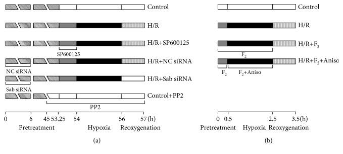 https://cdn.ncbi.nlm.nih.gov/pmc/blobs/fd58/6530120/59196a03ab2e/OMCL2019-7417561.001.jpg