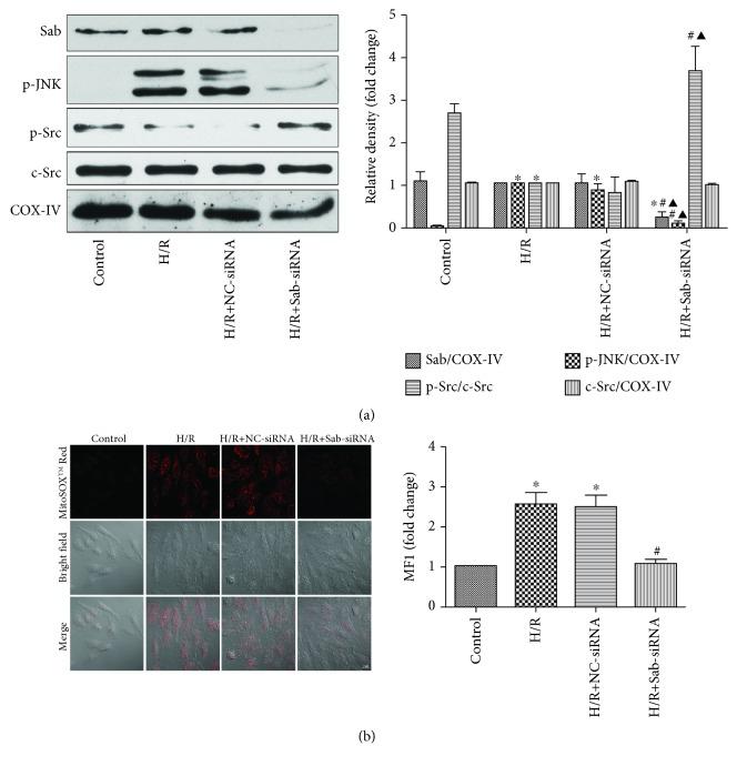 https://cdn.ncbi.nlm.nih.gov/pmc/blobs/fd58/6530120/750816937541/OMCL2019-7417561.004.jpg