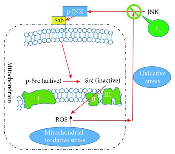 https://cdn.ncbi.nlm.nih.gov/pmc/blobs/fd58/6530120/de073bc24661/OMCL2019-7417561.009.jpg