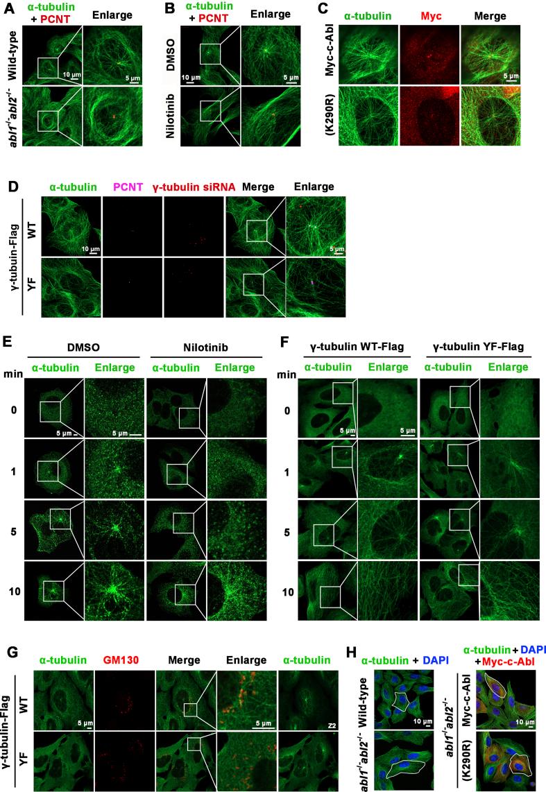 https://cdn.ncbi.nlm.nih.gov/pmc/blobs/fd58/8980629/5866cc5105ec/gr6.jpg