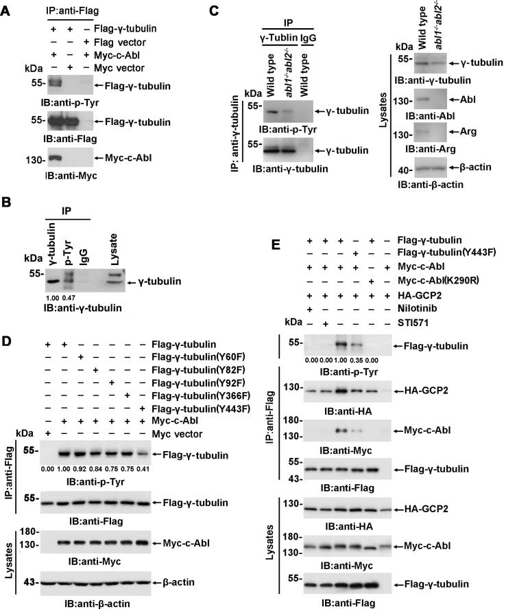 https://cdn.ncbi.nlm.nih.gov/pmc/blobs/fd58/8980629/ff115b5471c9/gr2.jpg