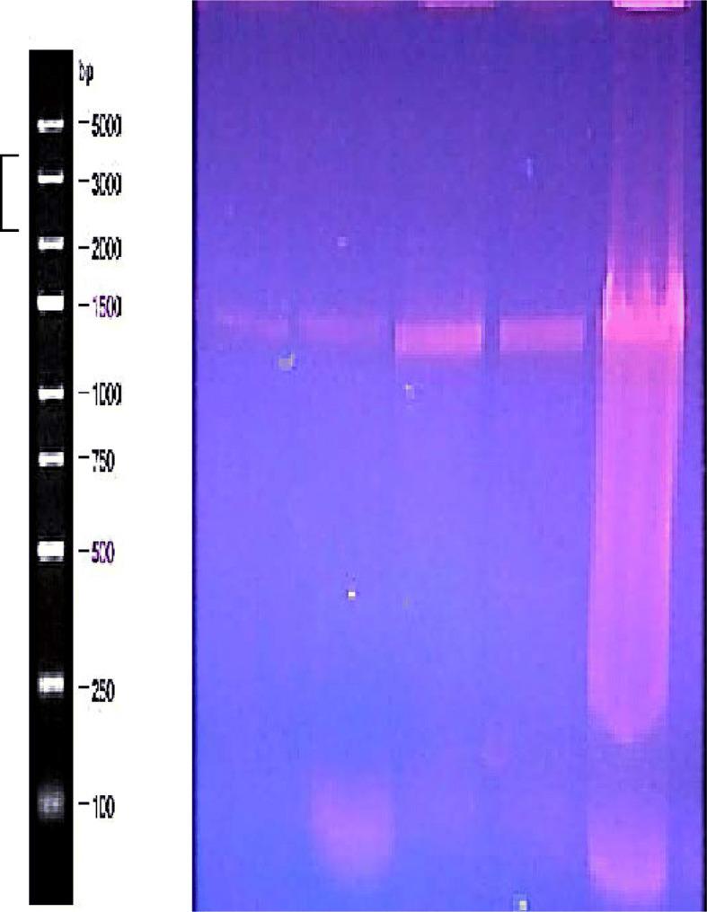 https://cdn.ncbi.nlm.nih.gov/pmc/blobs/fd59/7710787/d95cace8ed7d/43141_2020_96_Fig1_HTML.jpg