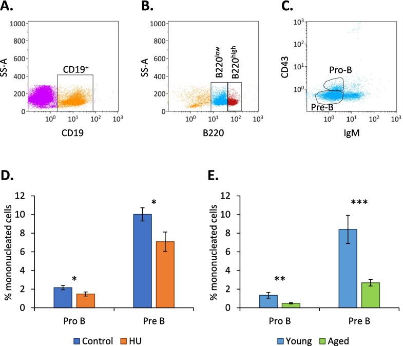 https://cdn.ncbi.nlm.nih.gov/pmc/blobs/fd5a/10659048/65bf8307d627/12979_2023_393_Fig2_HTML.jpg