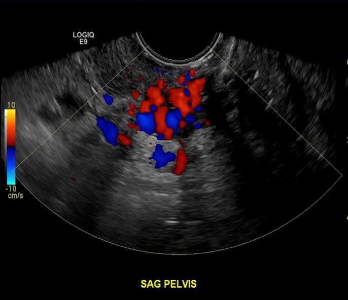 https://cdn.ncbi.nlm.nih.gov/pmc/blobs/fd5b/9561389/2cf4057f42e1/ac9-9-e00878-g001.jpg