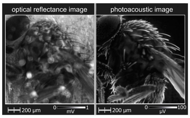 https://cdn.ncbi.nlm.nih.gov/pmc/blobs/fd5e/8876047/8442db77f8dd/nanomaterials-12-00708-g009.jpg