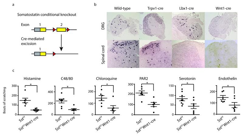 https://cdn.ncbi.nlm.nih.gov/pmc/blobs/fd60/5923877/4e0570b05cc5/emss-76256-f007.jpg