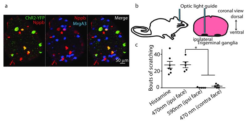 https://cdn.ncbi.nlm.nih.gov/pmc/blobs/fd60/5923877/b92daf52c820/emss-76256-f002.jpg