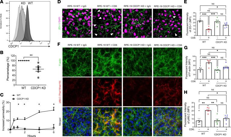 https://cdn.ncbi.nlm.nih.gov/pmc/blobs/fd60/9675461/63084a6fa2ce/jciinsight-7-157038-g133.jpg