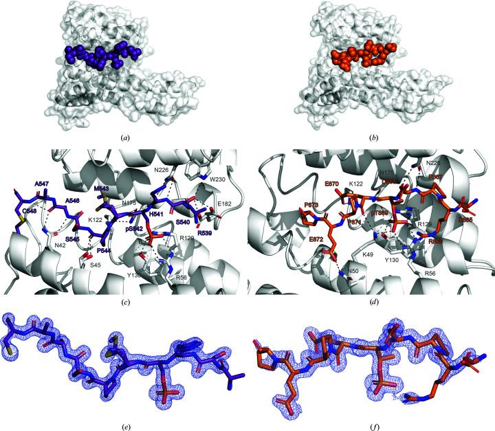 https://cdn.ncbi.nlm.nih.gov/pmc/blobs/fd63/8329713/37cc3daf759e/f-77-00254-fig3.jpg