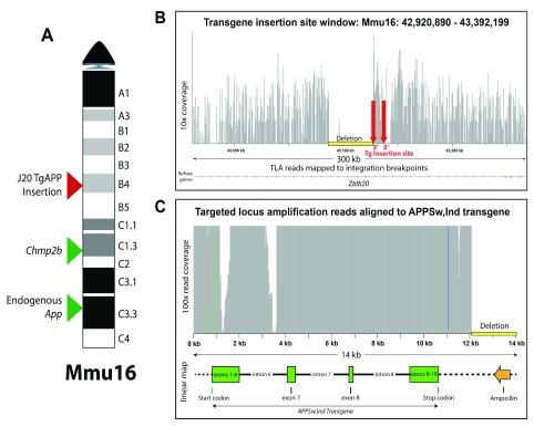 https://cdn.ncbi.nlm.nih.gov/pmc/blobs/fd64/6182667/9d608932637a/wellcomeopenres-2-16188-g0001.jpg