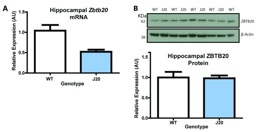https://cdn.ncbi.nlm.nih.gov/pmc/blobs/fd64/6182667/ad6cd8e281e9/wellcomeopenres-2-16188-g0002.jpg