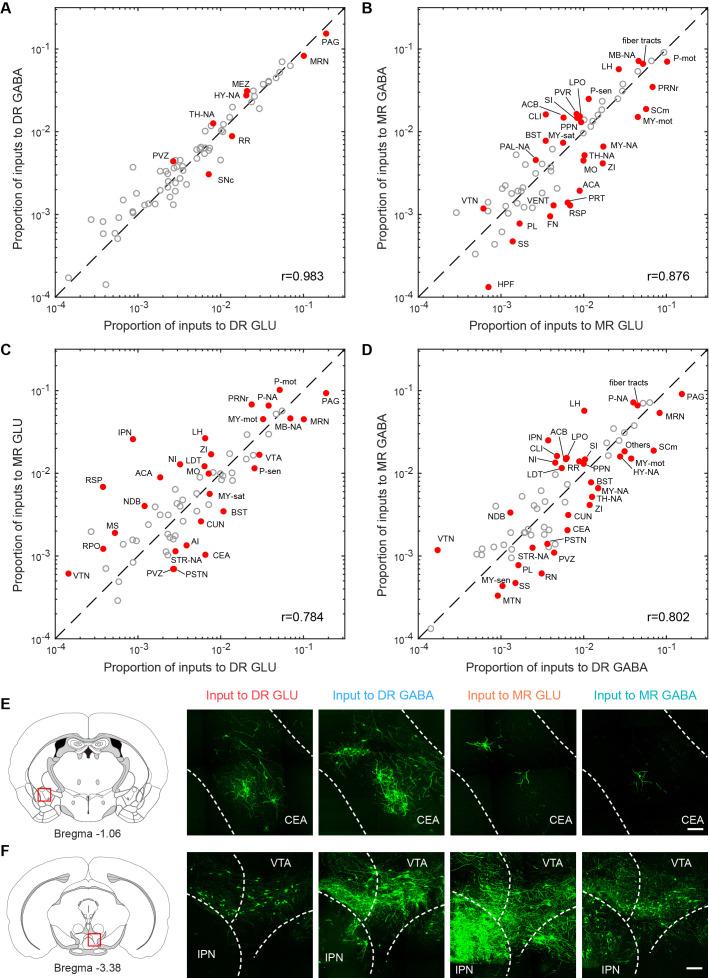 https://cdn.ncbi.nlm.nih.gov/pmc/blobs/fd65/8626088/0f57c744a235/elife-65502-fig3.jpg