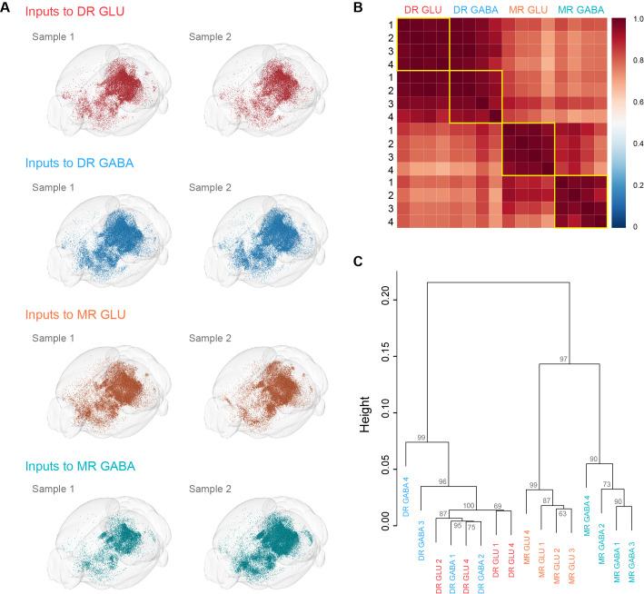 https://cdn.ncbi.nlm.nih.gov/pmc/blobs/fd65/8626088/dc322601a5d8/elife-65502-fig2-figsupp1.jpg
