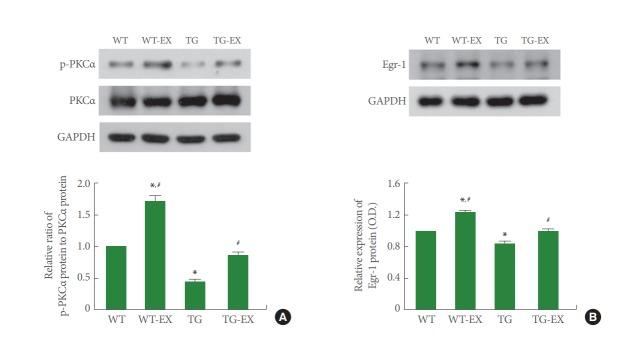 https://cdn.ncbi.nlm.nih.gov/pmc/blobs/fd6b/6433206/06dda018d767/inj-1938048-024f4.jpg